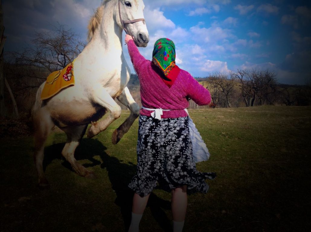 Rumänsk kvinna i sjalett med vit häst som stegrar sig.