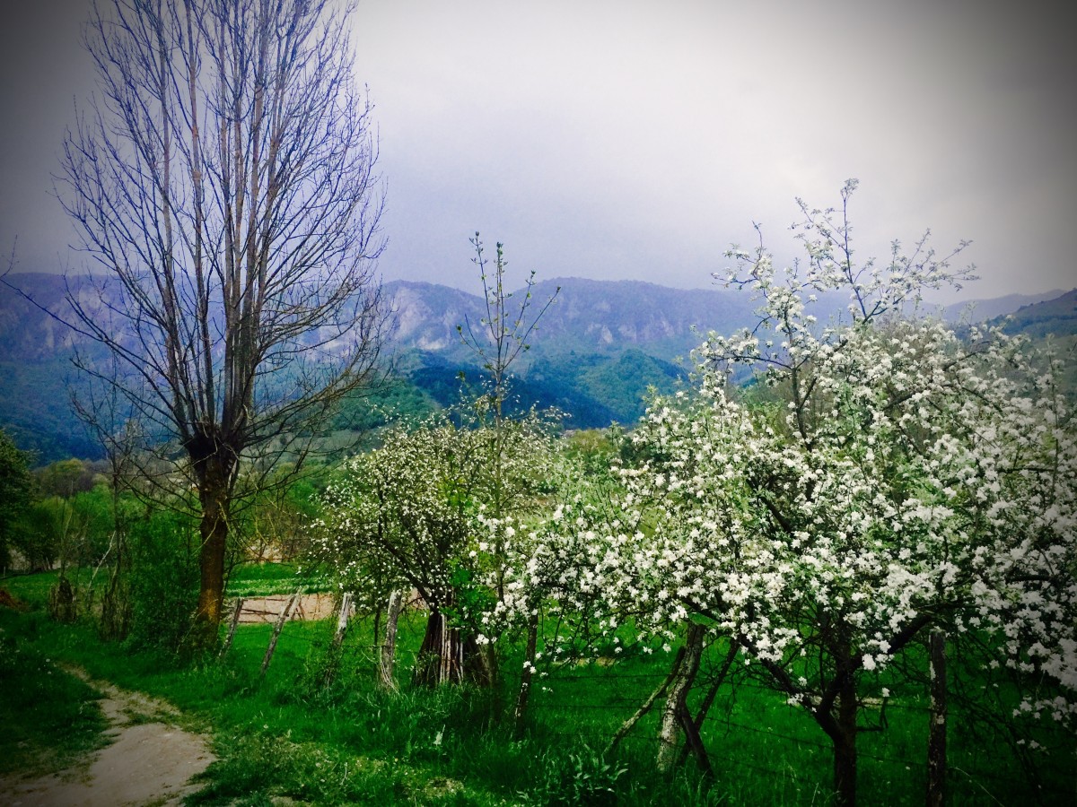 Äppelträden blommar i i byar som ser ut att vara hämtade från Bröderna Lejonhjärta.