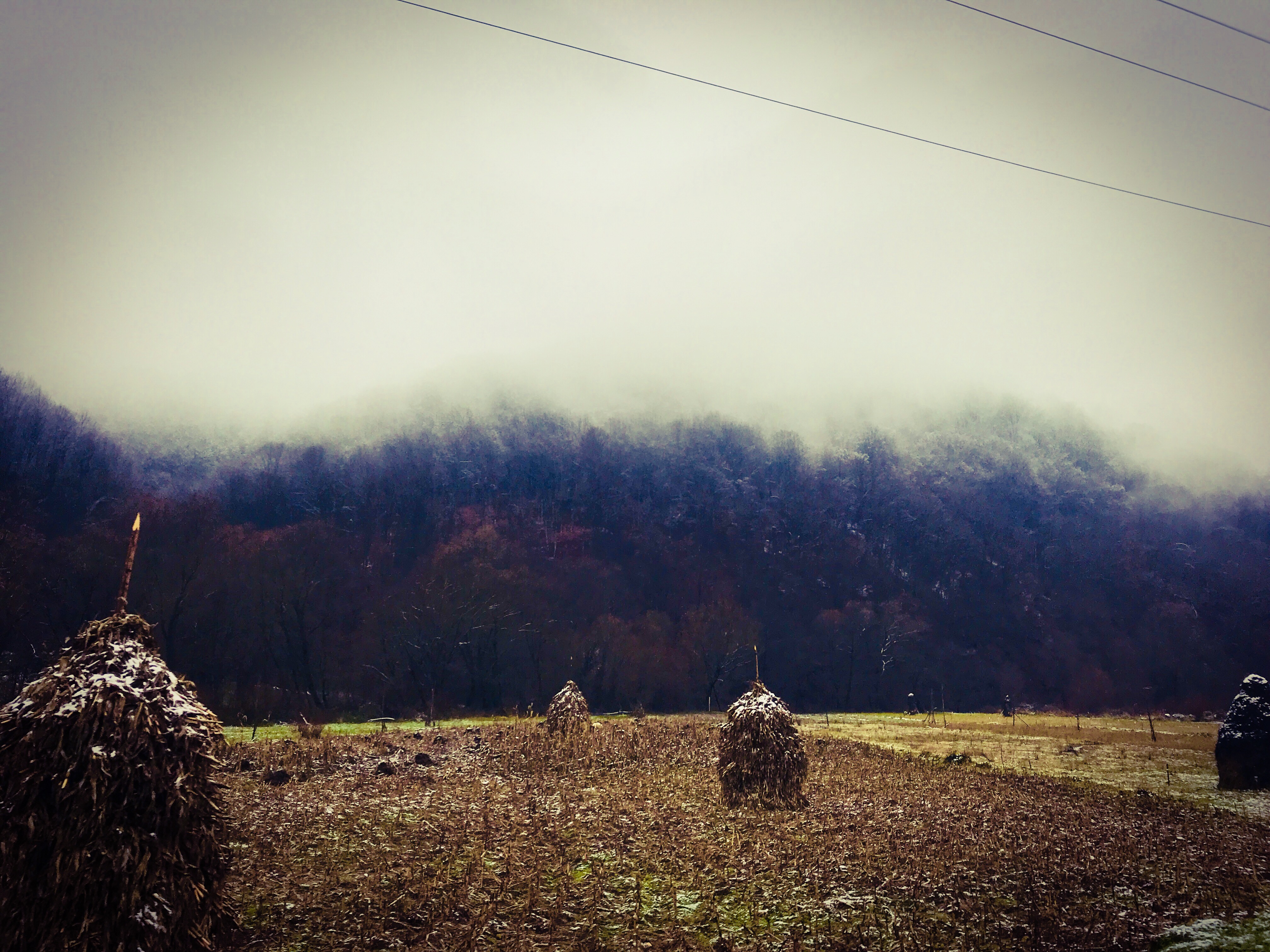 Dimma i Transsylvanien