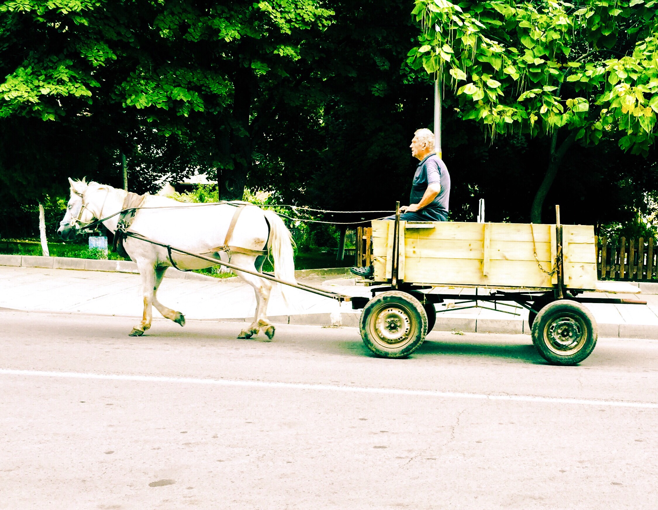 Häst och vagn i Bulgarien