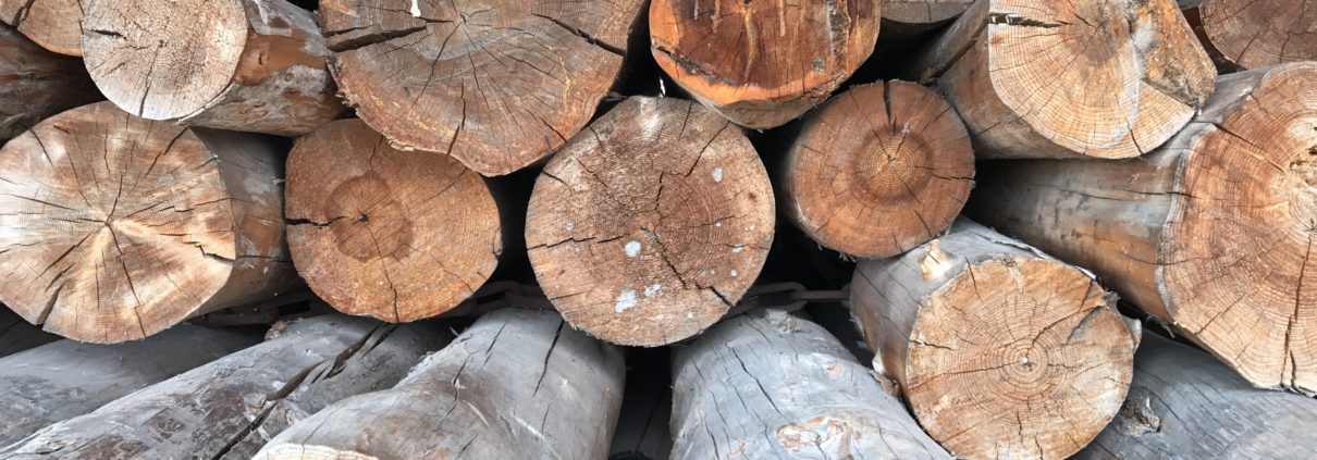 Wood, timber, Härjedalen, Sweden