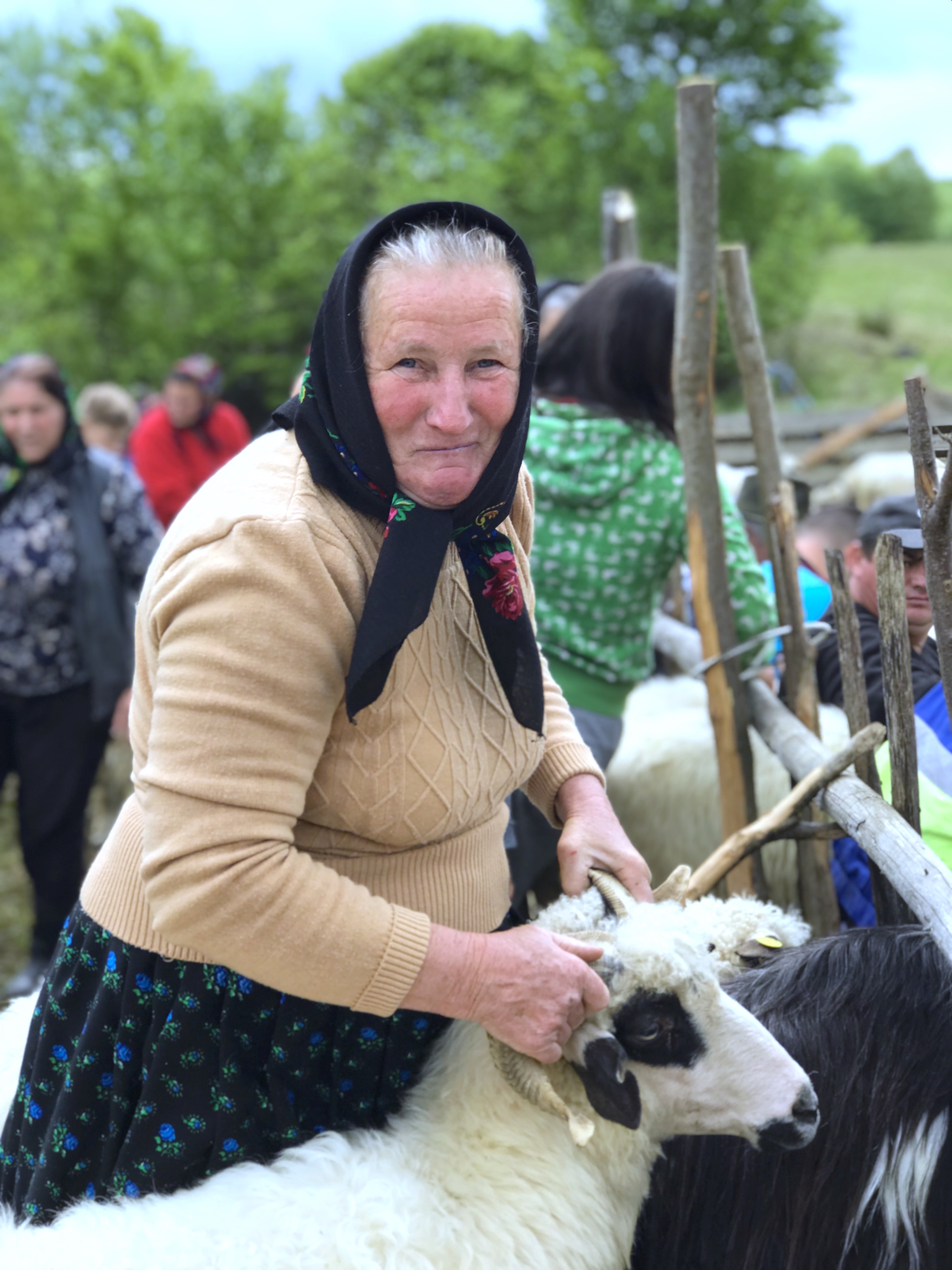 Gospodina, Cupseni, sheep farmer, Romania