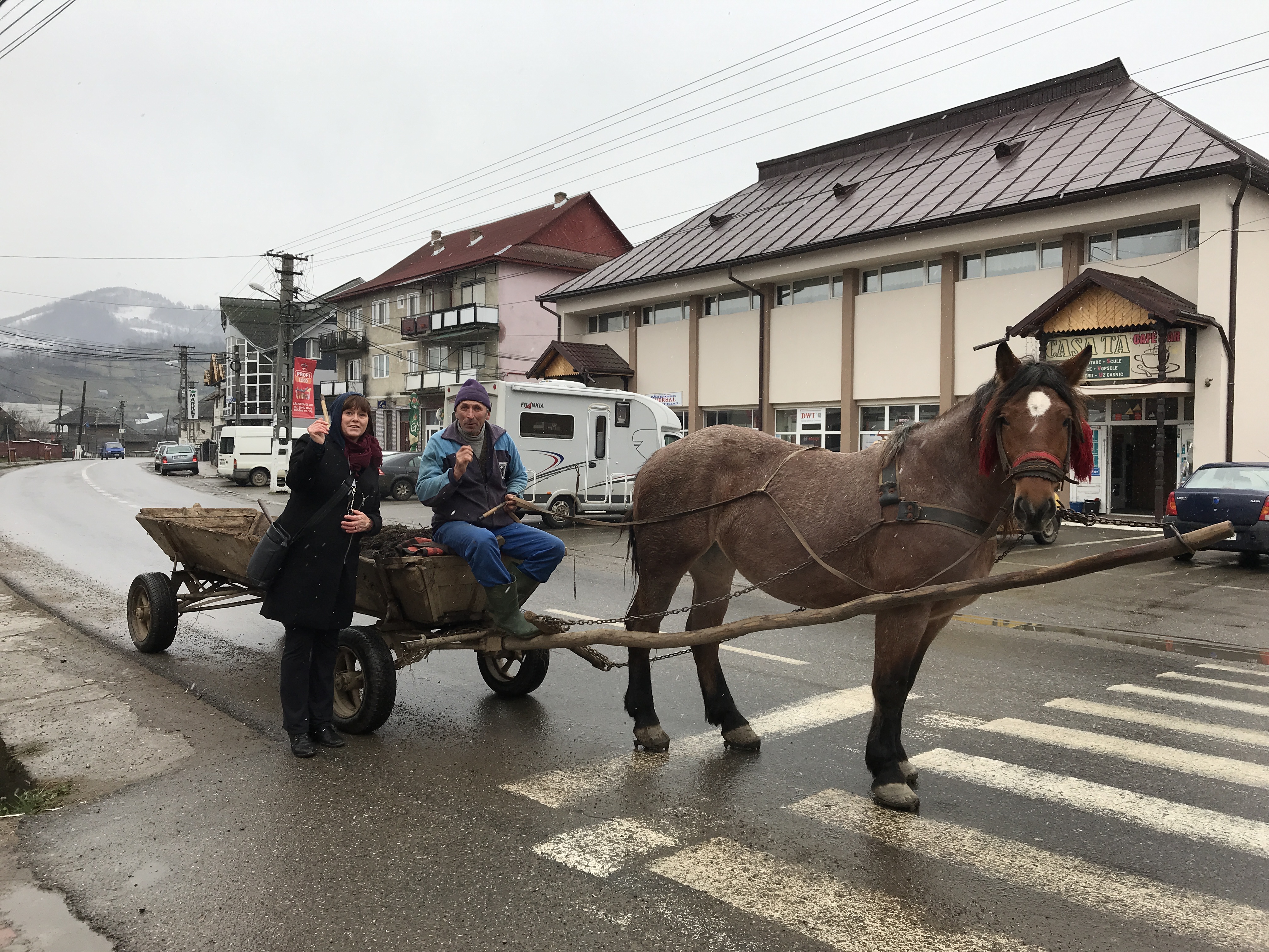 Horse and vagon in Bogdan Voda