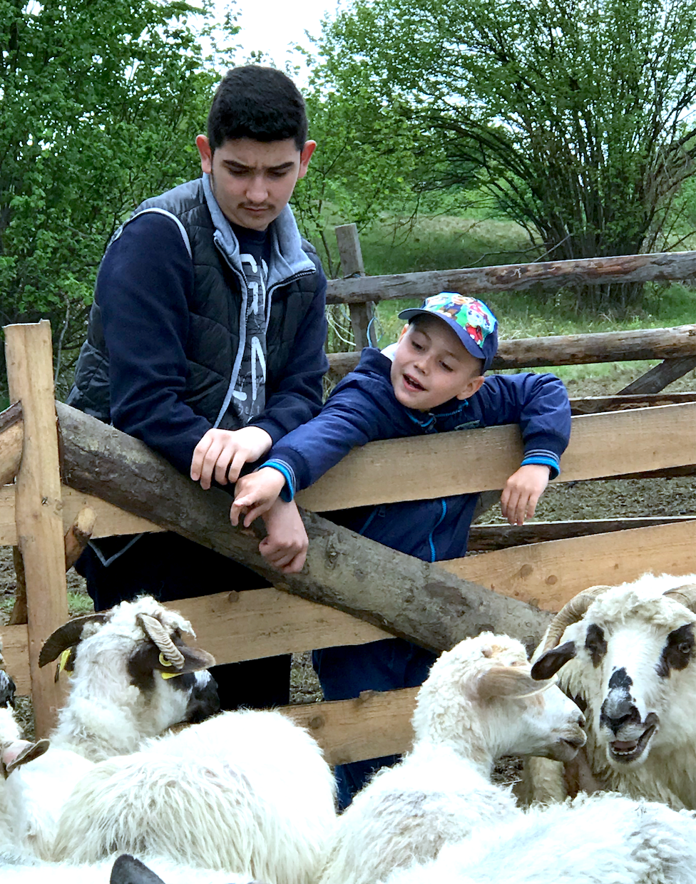 Sheep farmer families, Romania